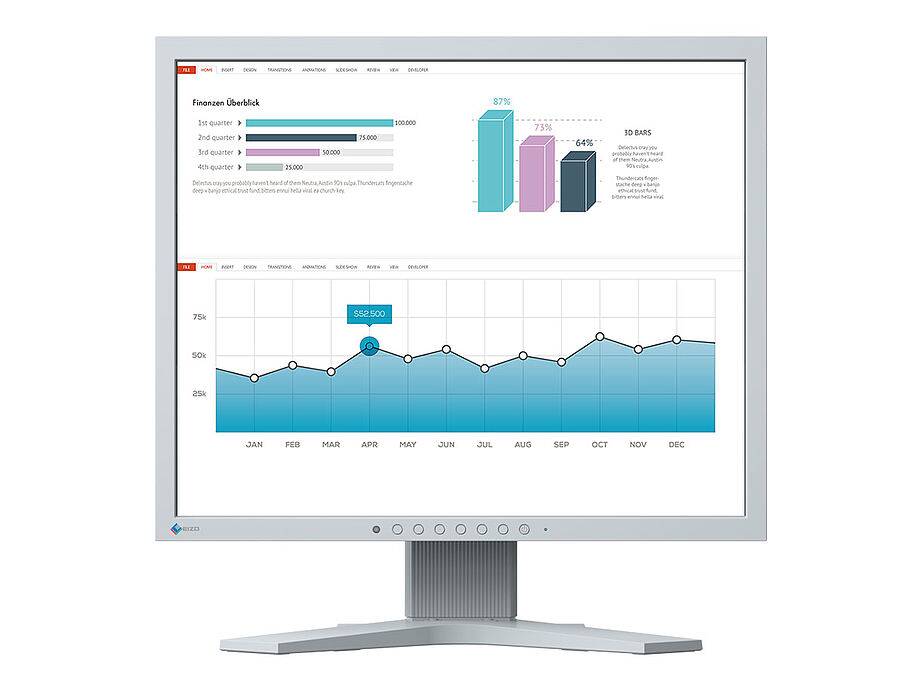 Eizo flexscan slim-monitor s1934h-gy monitor 19
