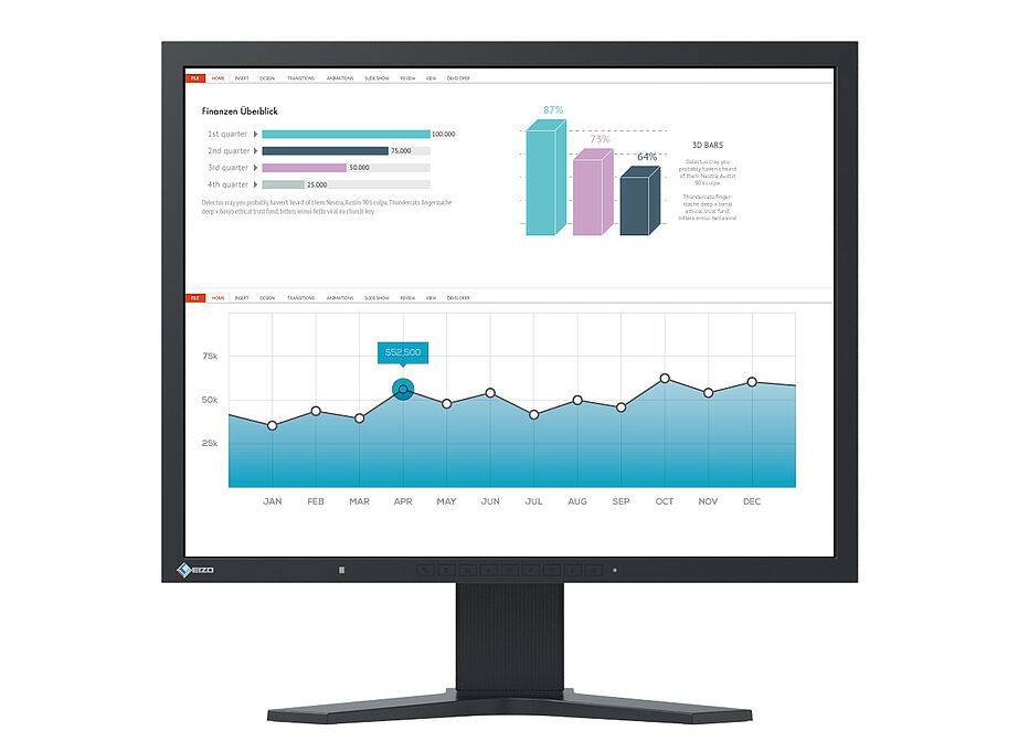 Eizo flexscan slim-monitor s2133-bk monitor 21